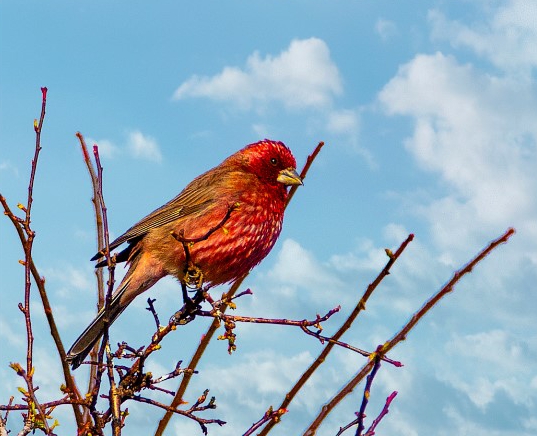  World Environment Day | Hello, Cute Neighbors
