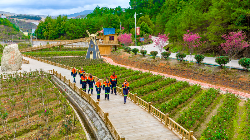 Zijin Mining presenta las 'Directrices de Conservación de la Biodiversidad' para prácticas sostenibles