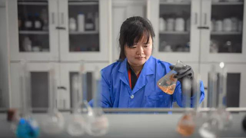 【巾帼风采】谢洪珍：耐得住性子 不输给男子