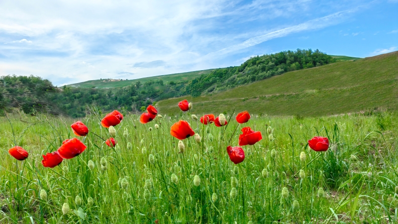 2.500 Días de Transformación: Zijin aborda la contaminación del agua en el pueblo minero serbio